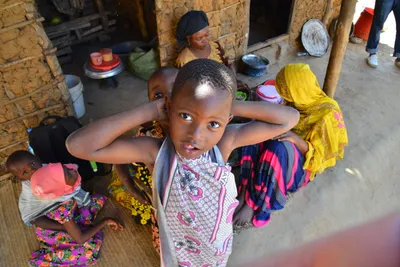 DSC_4949 (Large).JPG